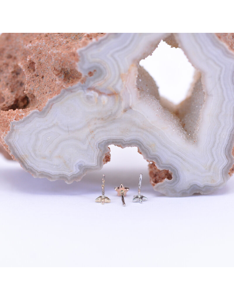 BVLA 3mm Flat Star in 14k Gold Threadless Ends by BVLA!