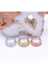 BVLA 16g 5/16" Zara Clicker Ring in 14k Yellow Gold by BVLA!