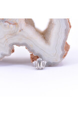 BVLA Oceane with CZ in 14k Gold 16g Threaded Ends by BVLA!