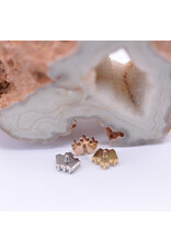 BVLA Oceane with CZ in 14k Gold 16g Threaded Ends by BVLA!