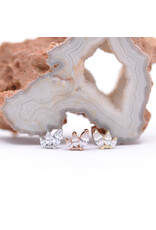 BVLA French Kiss with CZ 16g Threaded Ends in 14k Gold
