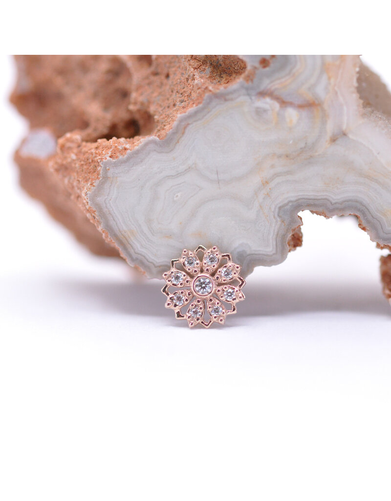 BVLA Rosette with CZ in 14k Gold 16g Threaded Ends by BVLA!