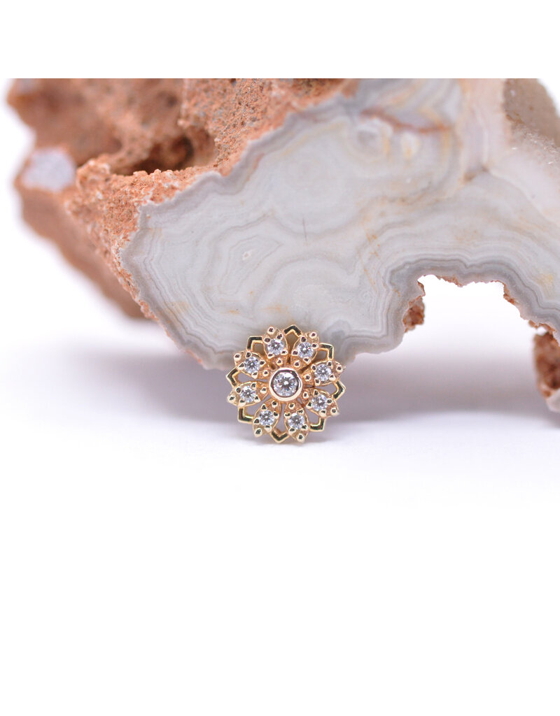 BVLA Rosette with CZ in 14k Gold 16g Threaded Ends by BVLA!