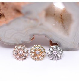 BVLA Rosette CZ 14k Gold 16g Threaded Ends by BVLA