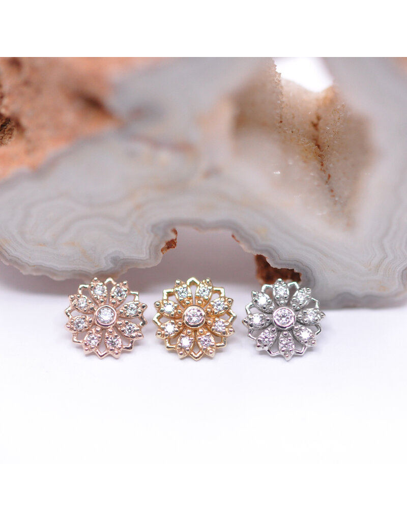 BVLA Rosette with CZ in 14k Gold 16g Threaded Ends by BVLA!