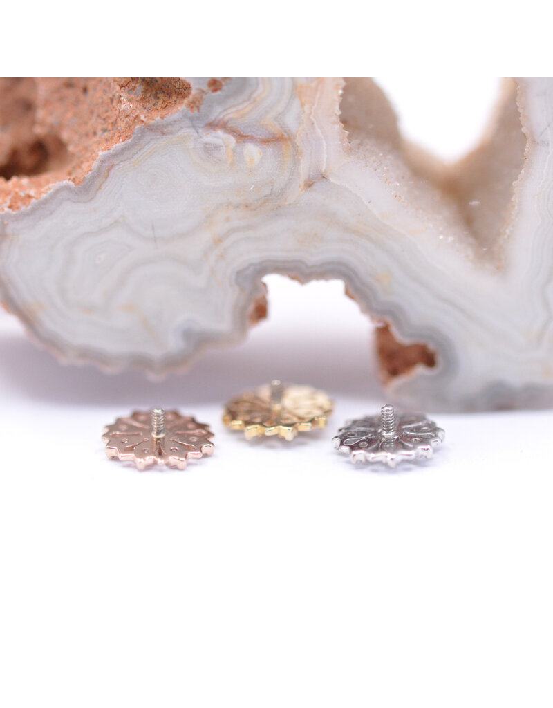 BVLA Rosette with CZ in 14k Gold 16g Threaded Ends by BVLA!