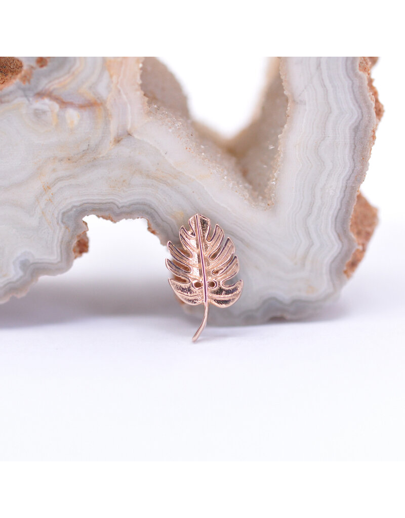 BVLA Left Facing Monstera Leaf in 14k Rose Gold 16g Threaded End by BVLA!