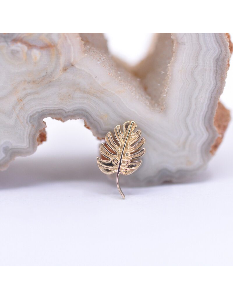 BVLA Right Facing Monstera Leaf in 14k Yellow Gold 16g Threaded End by BVLA!