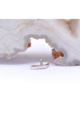 BVLA Dario with Citrine in 14k White Gold 16g Threaded End by BVLA!