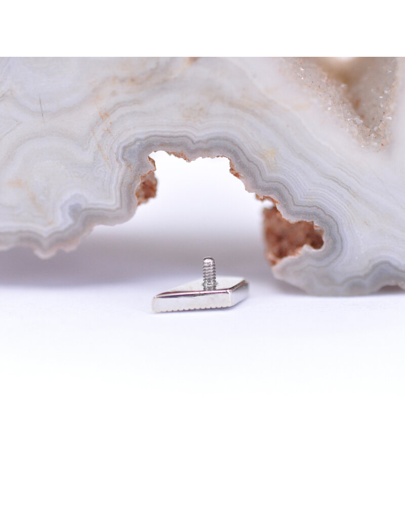 BVLA Dario with Citrine in 14k White Gold 16g Threaded End by BVLA!