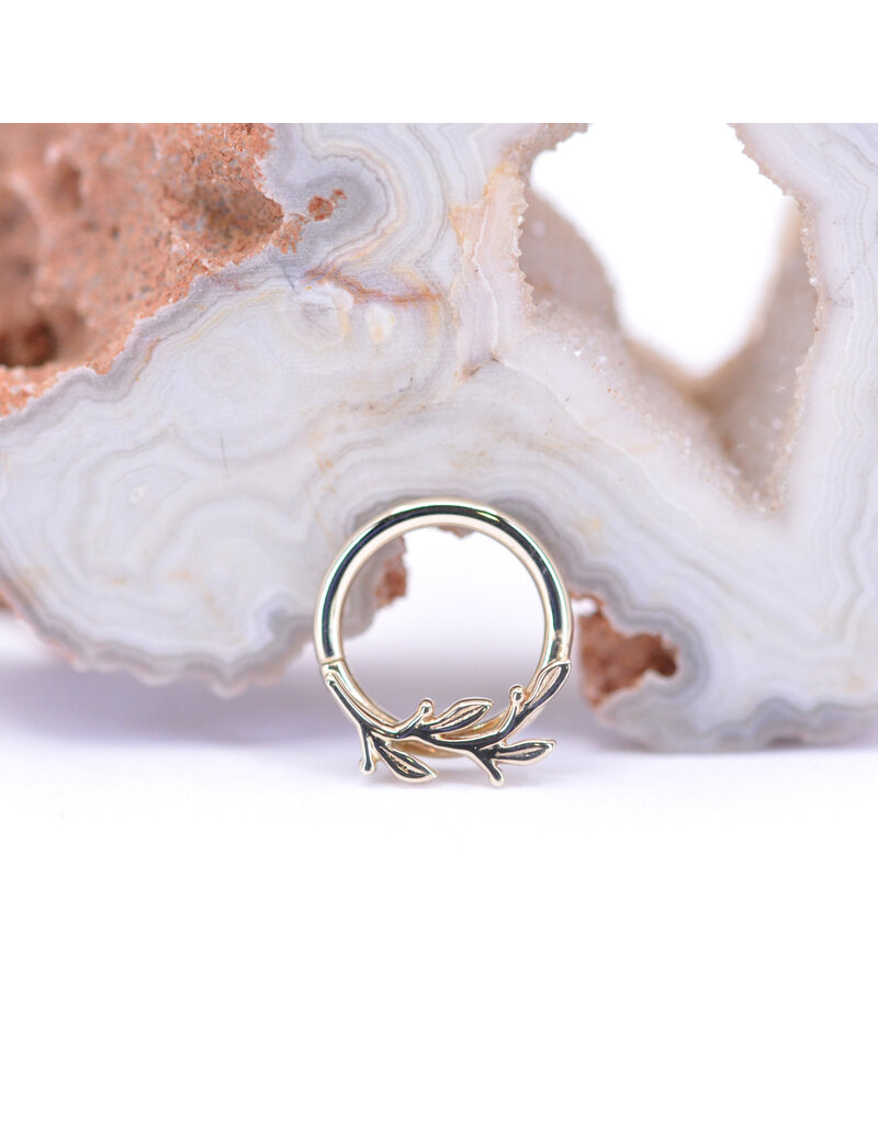 BVLA 16g 5/16" Left Facing Amity Seam Rings in 14k Gold by BVLA!