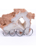 BVLA 16g Telesto Clicker Rings with CZ in 14k Gold by BVLA