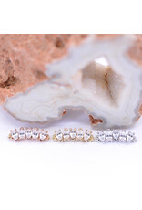 BVLA Nalani 5 with CZ in 14k Gold 16g Threaded Ends by BVLA!