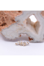 BVLA Genesis with CZ in 14k Gold 16g Threaded Ends by BVLA!