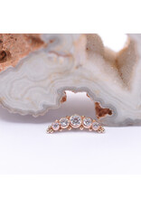 BVLA 5 Gem Graduating Panaraya with CZ in 14k Gold 16g Threaded Ends by BVLA!