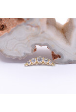 BVLA 5 Gem Graduating Panaraya with CZ in 14k Gold 16g Threaded Ends by BVLA!