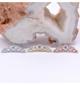 BVLA 5 Gem Panaraya CZ 14k Gold 16g Threaded Ends