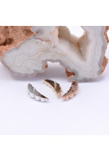 BVLA 5 Gem Graduating Panaraya with CZ in 14k Gold 16g Threaded Ends by BVLA!