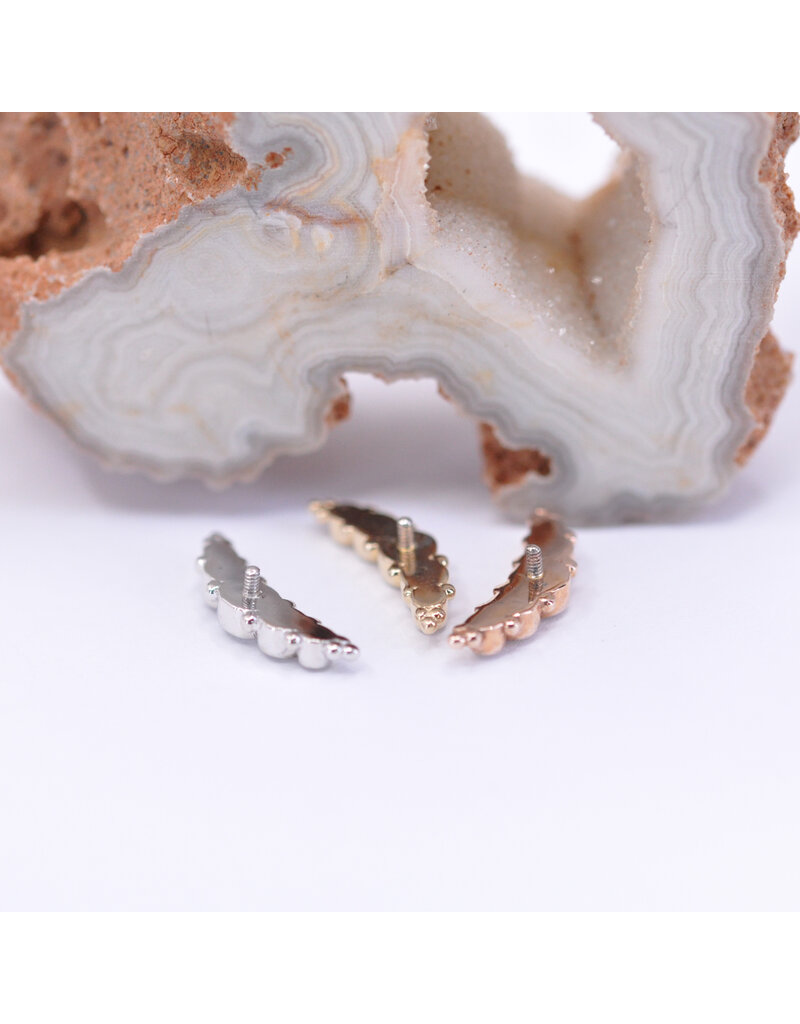 BVLA 5 Gem Graduating Panaraya with CZ in 14k Gold 16g Threaded Ends by BVLA!