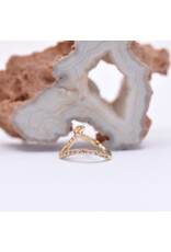 BVLA 16g 7/16" High Tide Clicker Ring with Champagne Sapphire in 14k Yellow Gold by BVLA!