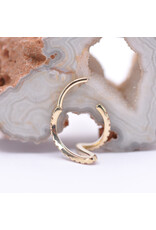 BVLA 16g 7/16" High Tide Clicker Ring with Champagne Sapphire in 14k Yellow Gold by BVLA!