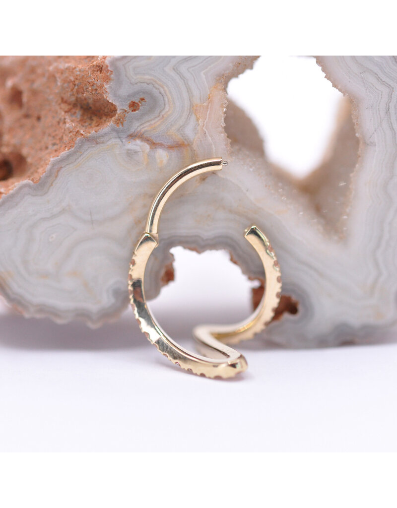 BVLA 16g 7/16" High Tide Clicker Ring with Champagne Sapphire in 14k Yellow Gold by BVLA!