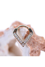 BVLA 16g 5/16" Muir Clicker Ring with Genuine VS Diamonds in 14k Yellow Gold by BVLA!