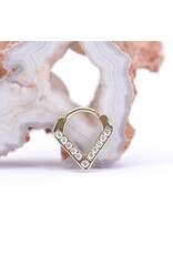 BVLA 16g 5/16" Muir Clicker Ring with Genuine VS Diamonds in 14k Yellow Gold by BVLA!