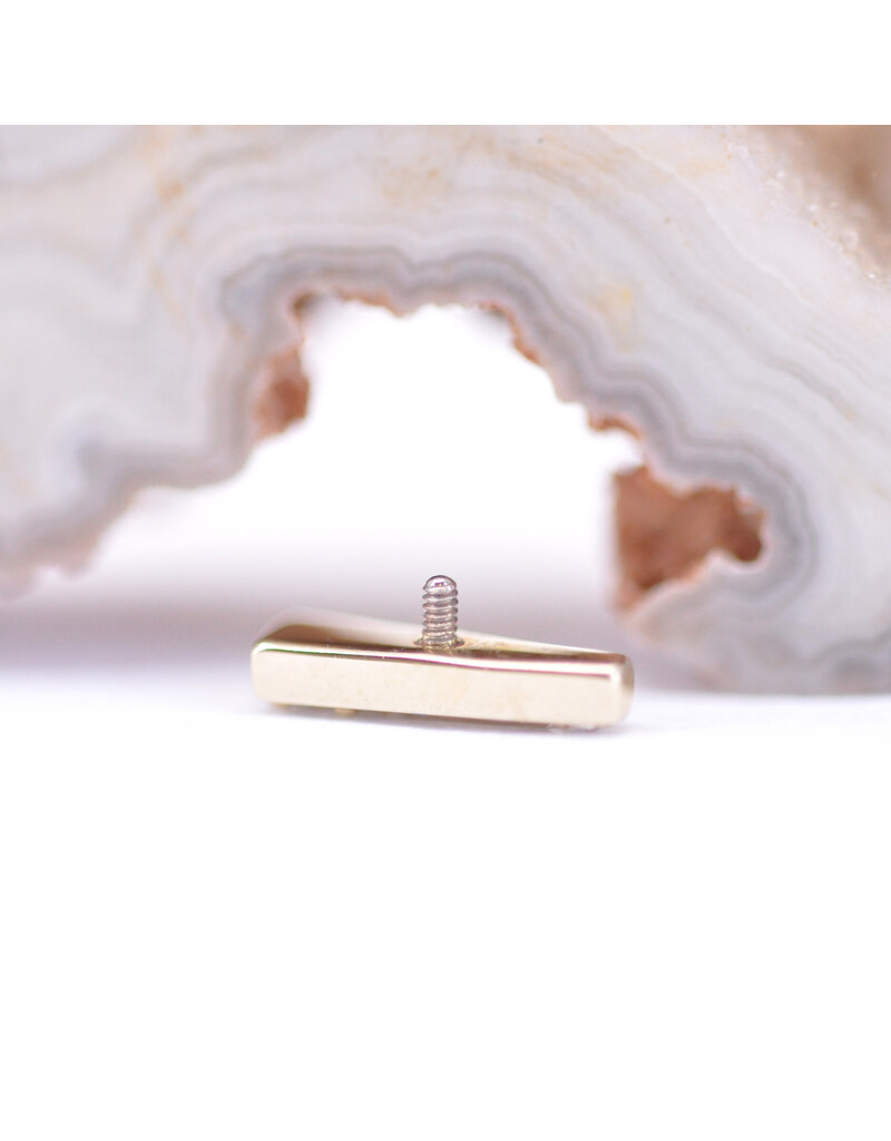 BVLA Valerian with CZ in 14k Yellow Gold 16g Threaded End by BVLA!