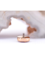 BVLA Double Round Harlequin with Amethyst in 14k Rose Gold 16g Threaded End by BVLA!