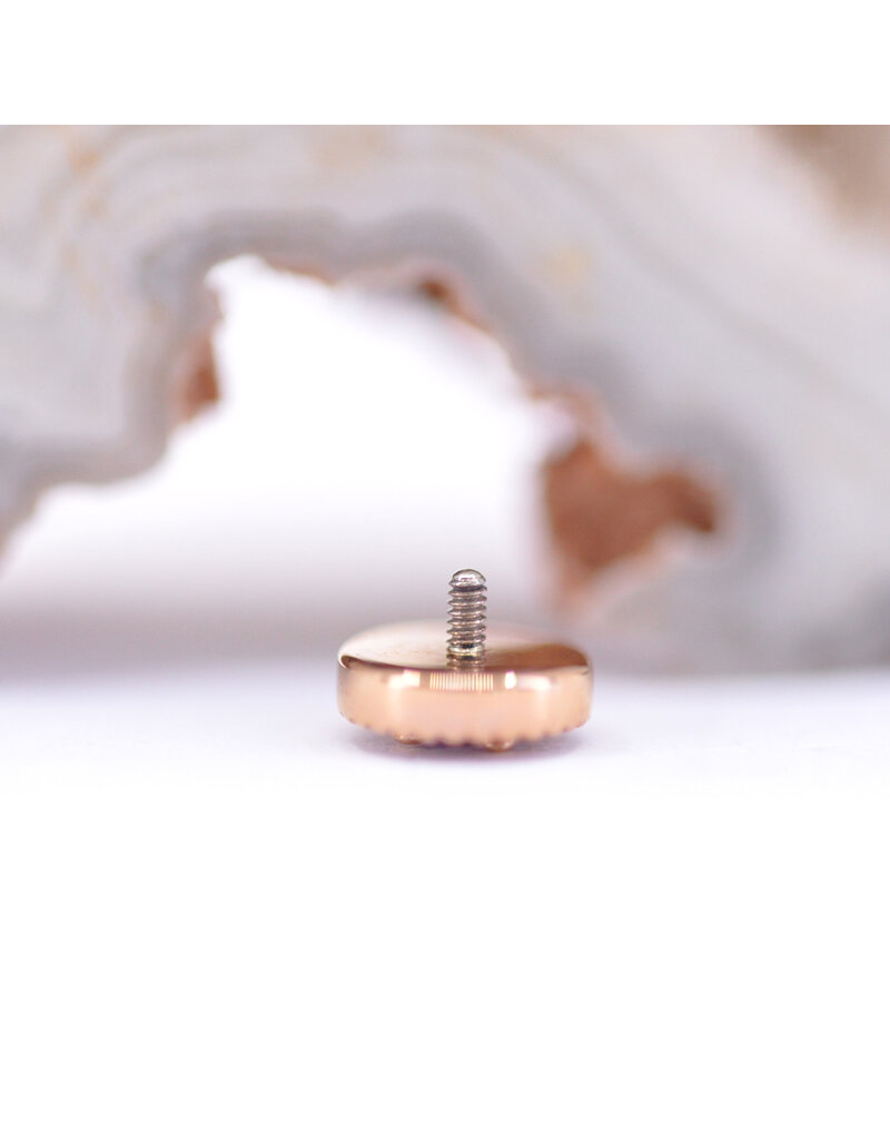 BVLA Double Round Harlequin with Amethyst in 14k Rose Gold 16g Threaded End by BVLA!
