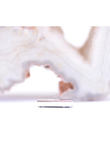 BVLA Valerian with London Blue Topaz in 14k White Gold 16g Threaded End by BVLA!