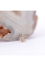 BVLA Pave Circle with CZ in 14k Gold Threadless Ends by BVLA!