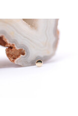 BVLA Polished Disc in 14k Gold Threadless Ends by BVLA!