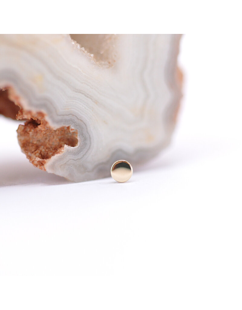 BVLA Polished Disc in 14k Gold Threadless Ends by BVLA!