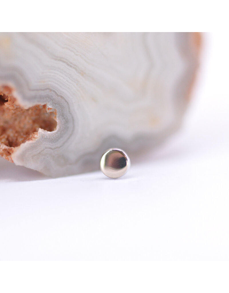 BVLA Polished Disc in 14k Gold Threadless Ends by BVLA!