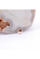 BVLA Polished Disc in 14k Gold Threadless Ends by BVLA!