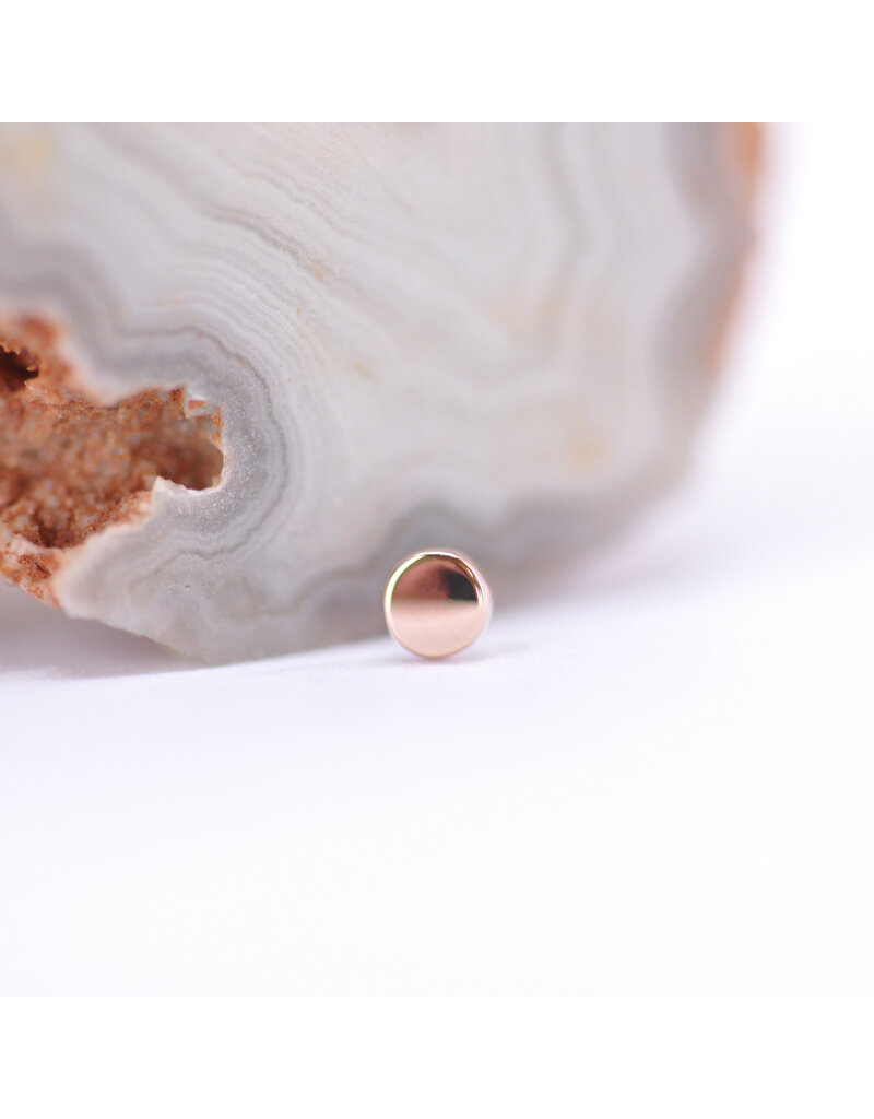 BVLA Polished Disc in 14k Gold Threadless Ends by BVLA!