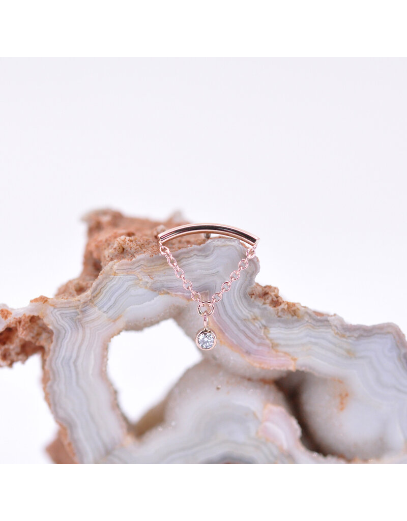 BVLA Kori 16g Threaded Ends with 2mm Genuine Diamond Bezel in 14k Gold by BVLA!