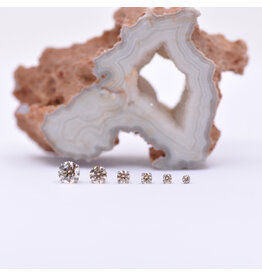 Neometal Champagne CZ Prong Titanium Threadless Ends