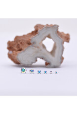 Neometal Aurora Borealis CZ Prong Titanium Threadless Ends by Neometal