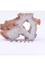 Neometal Morganite CZ Prong Titanium Threadless Ends by Neometal
