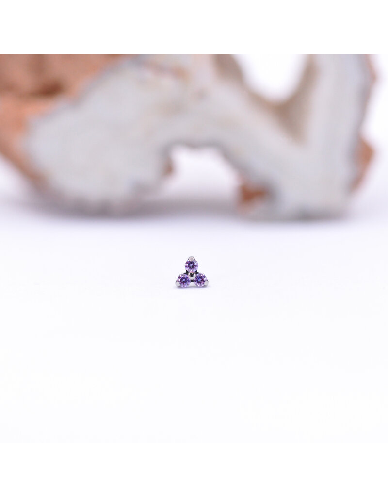 Neometal Trinity Prong Titanium Threadless Ends by Neometal