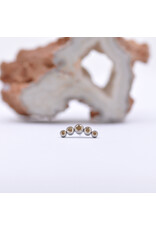 Neometal Titanium Threadless 5 Gem Curved Cluster Champagne