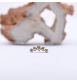 Neometal Titanium Threadless 5 Gem Curved Cluster Champagne