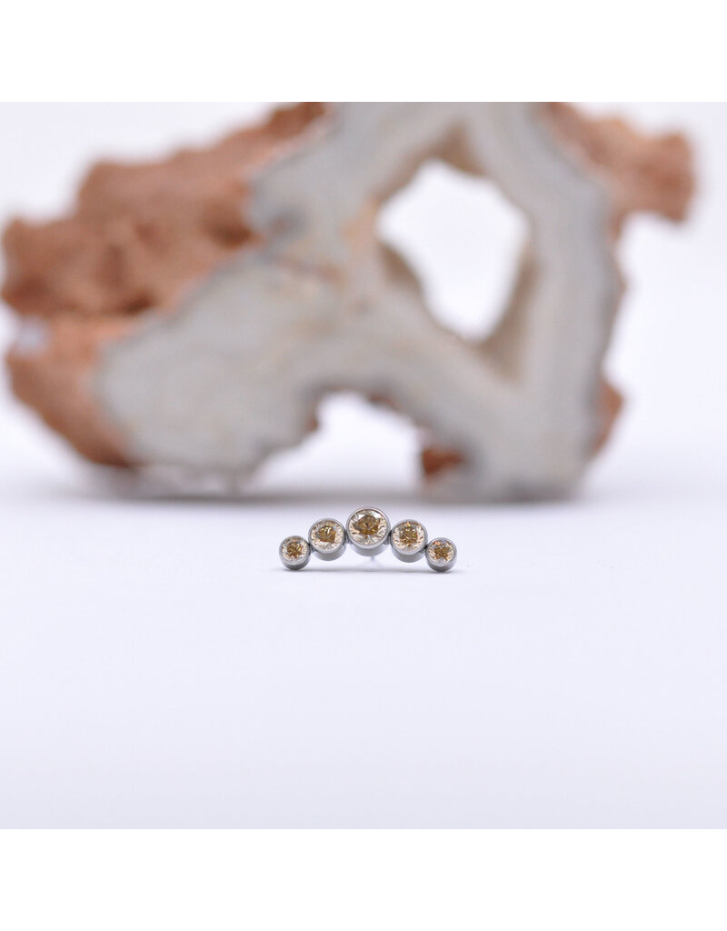 Neometal Titanium Threadless 5 Gem Curved Cluster Champagne