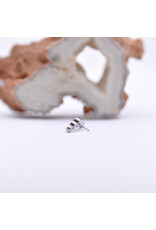 Neometal Titanium Threadless 5 Gem Curved Cluster Champagne