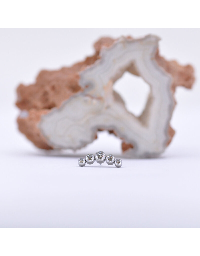 Neometal Titanium Threadless 5 Gem Curved Cluster CZ