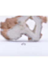 Neometal Titanium Threadless Petite 3 Gem Curved Cluster CZ