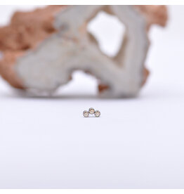 Neometal Titanium Threadless Petite 3 Gem Curved Cluster Champagne